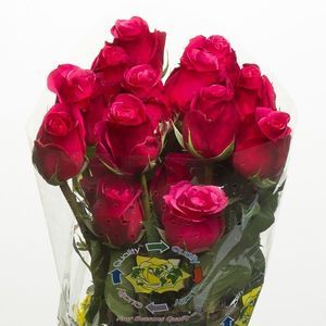 ROSE CHERRY O ! 50