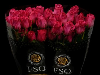ROSE PINK FLOYD 50