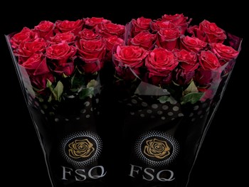 ROSE RED PANTHER 50
