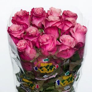 ROSE ART DECO 40