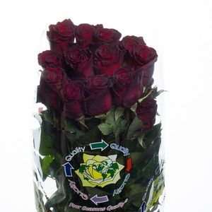 ROSE BLACK BACCARA 40