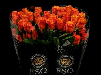 ROSE CONFIDENTIAL 60