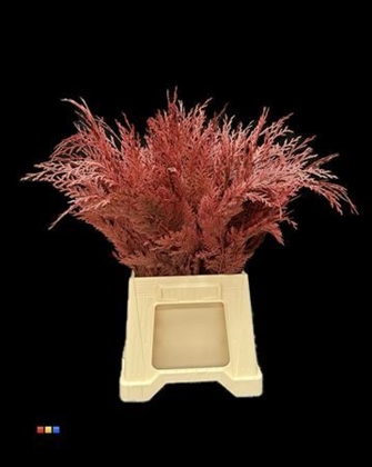 FLEURS COUPEE AUTRE COLORE H%